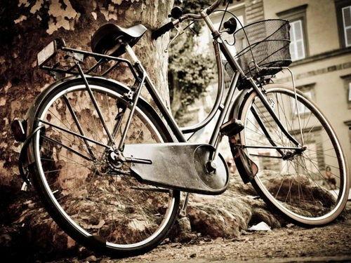 娱乐吃瓜酱自行车,自行车界的潮流新宠  第3张