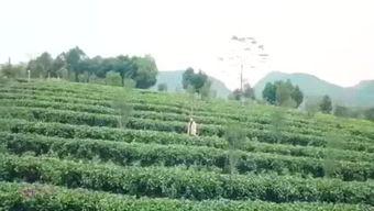 渔乐圈最新爆料消息今天  第1张