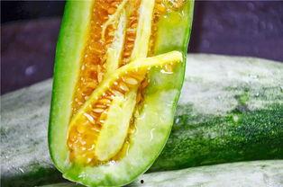 吃瓜最新事件 网红是谁,吃瓜事件聚焦哪位当红炸子鸡？”  第3张